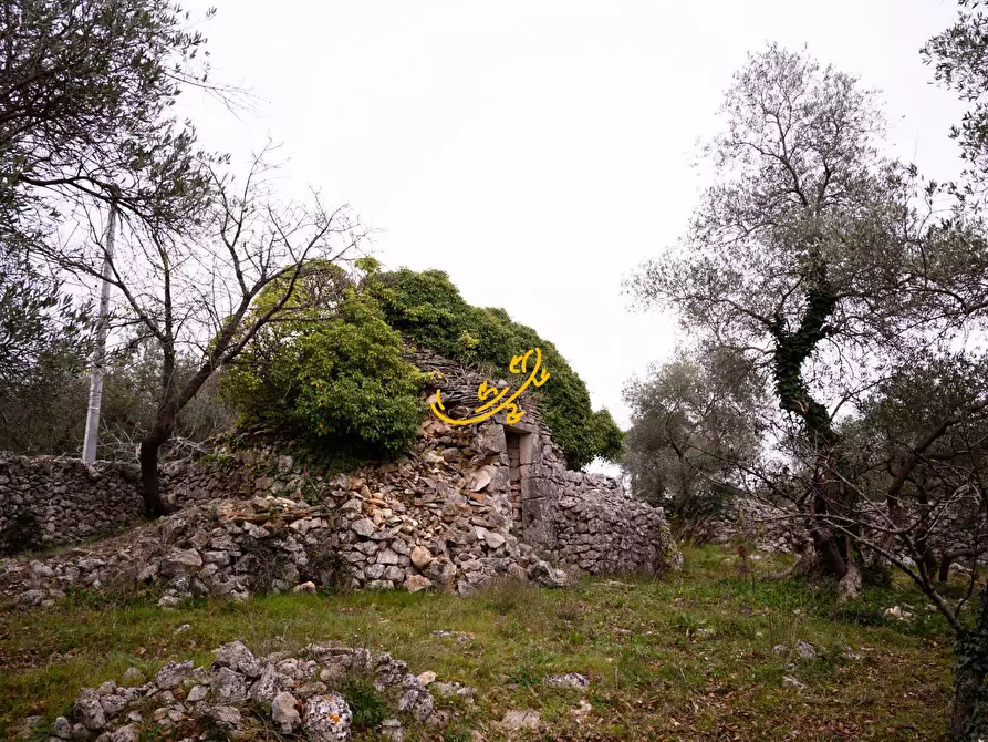 Immagine 13 di Baita in vendita  in Contrada Montedoro a Noci