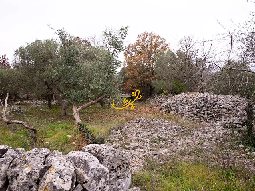 Immagine 15 di Baita in vendita  in Contrada Montedoro a Noci