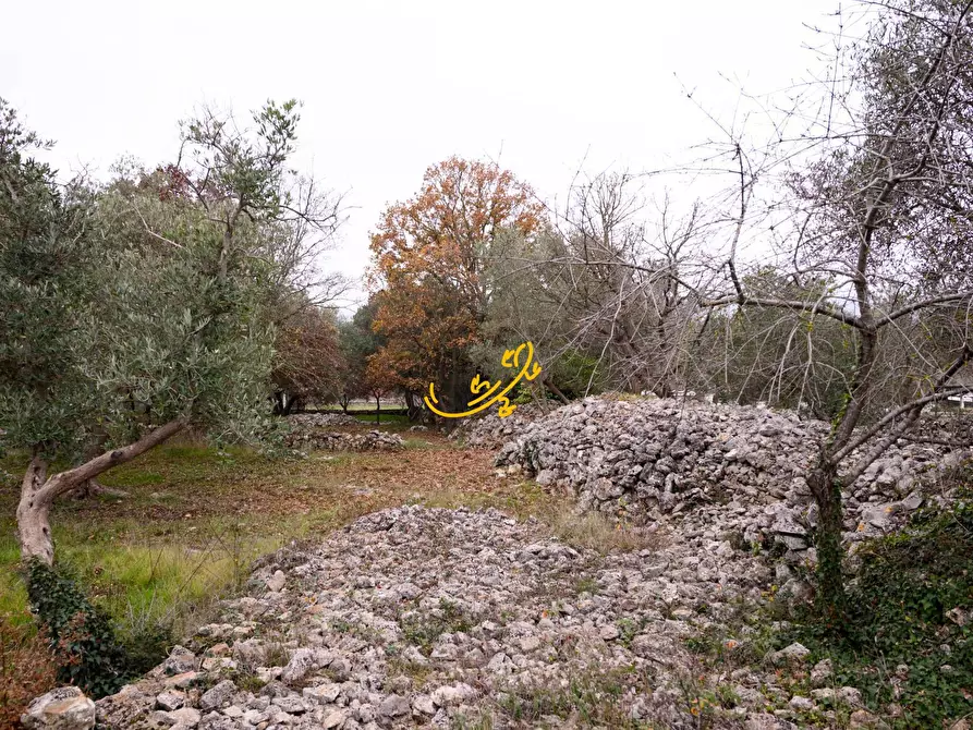Immagine 16 di Baita in vendita  in Contrada Montedoro a Noci