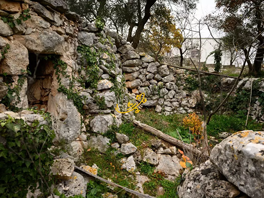 Immagine 11 di Baita in vendita  in Contrada Montedoro a Noci