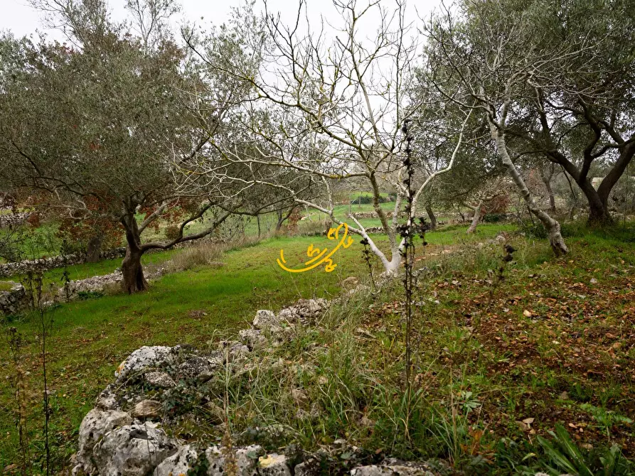 Immagine 20 di Baita in vendita  in Contrada Montedoro a Noci