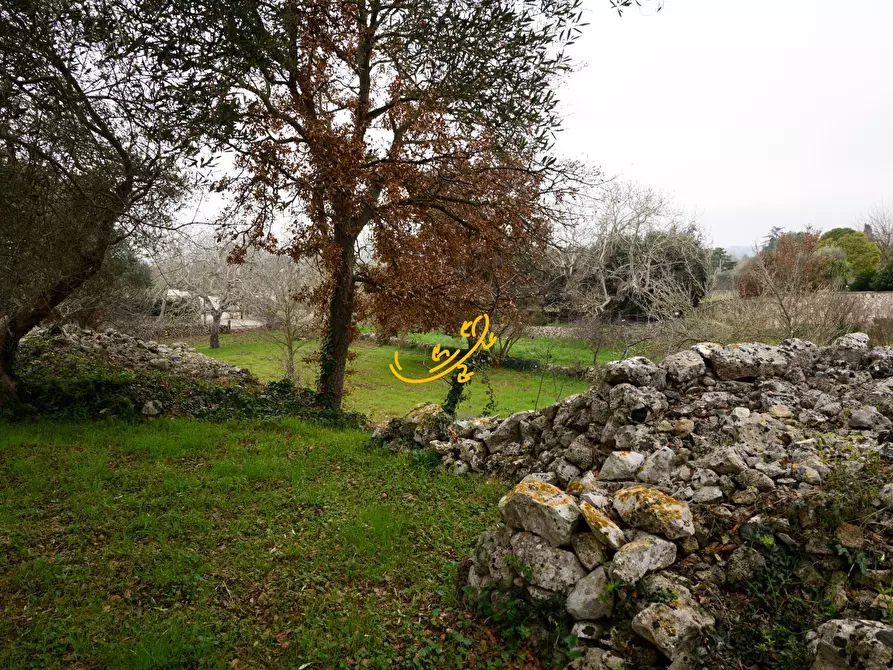 Immagine 21 di Baita in vendita  in Contrada Montedoro a Noci