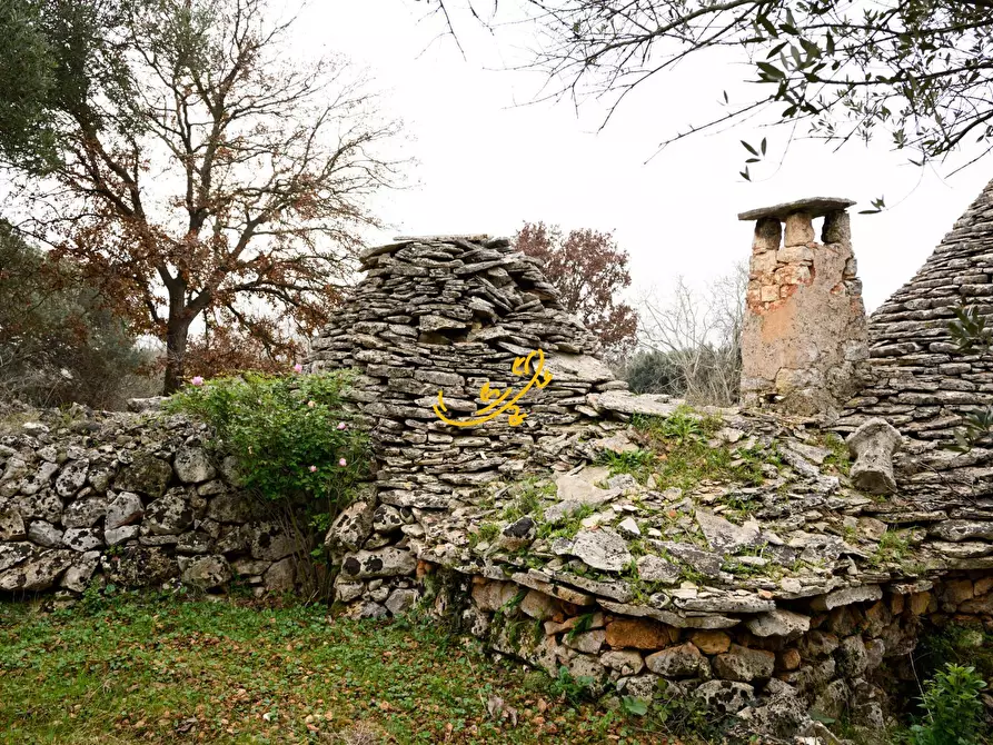 Immagine 24 di Baita in vendita  in Contrada Montedoro a Noci