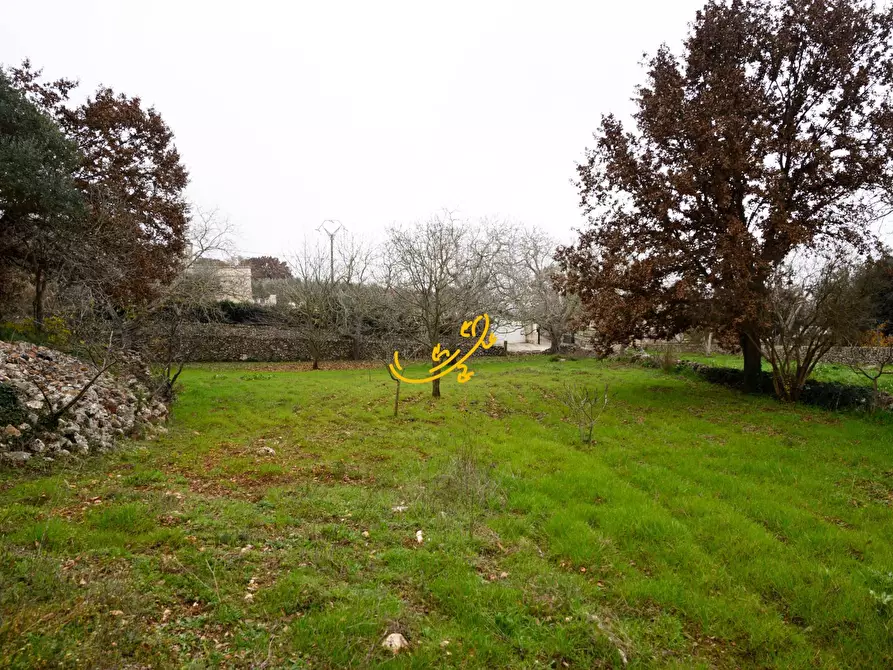 Immagine 26 di Baita in vendita  in Contrada Montedoro a Noci