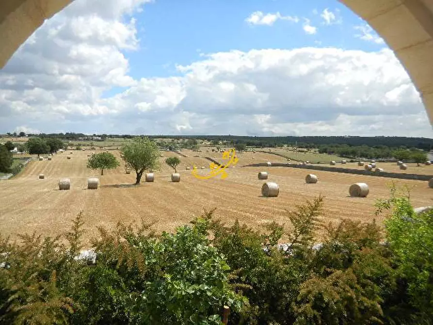 Immagine 8 di Baita in vendita  in Contrada Piscinella a Martina Franca