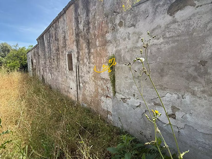 Immagine 11 di Rustico / casale in vendita  in Contrada Cozzana a Monopoli
