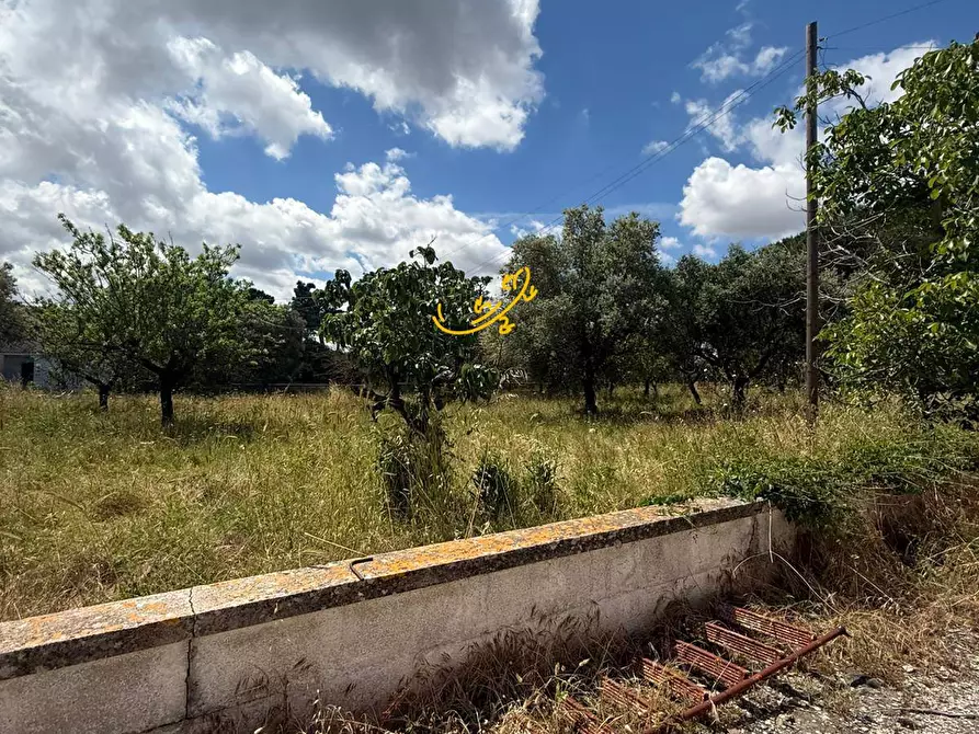 Immagine 32 di Rustico / casale in vendita  in Contrada Cozzana a Monopoli