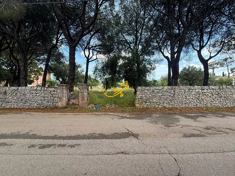 Immagine 16 di Rustico / casale in vendita  in Contrada Cozzana a Monopoli