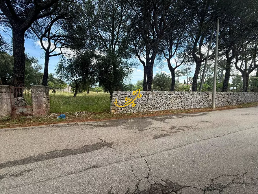 Immagine 18 di Rustico / casale in vendita  in Contrada Cozzana a Monopoli