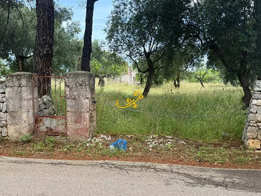 Immagine 14 di Rustico / casale in vendita  in Contrada Cozzana a Monopoli