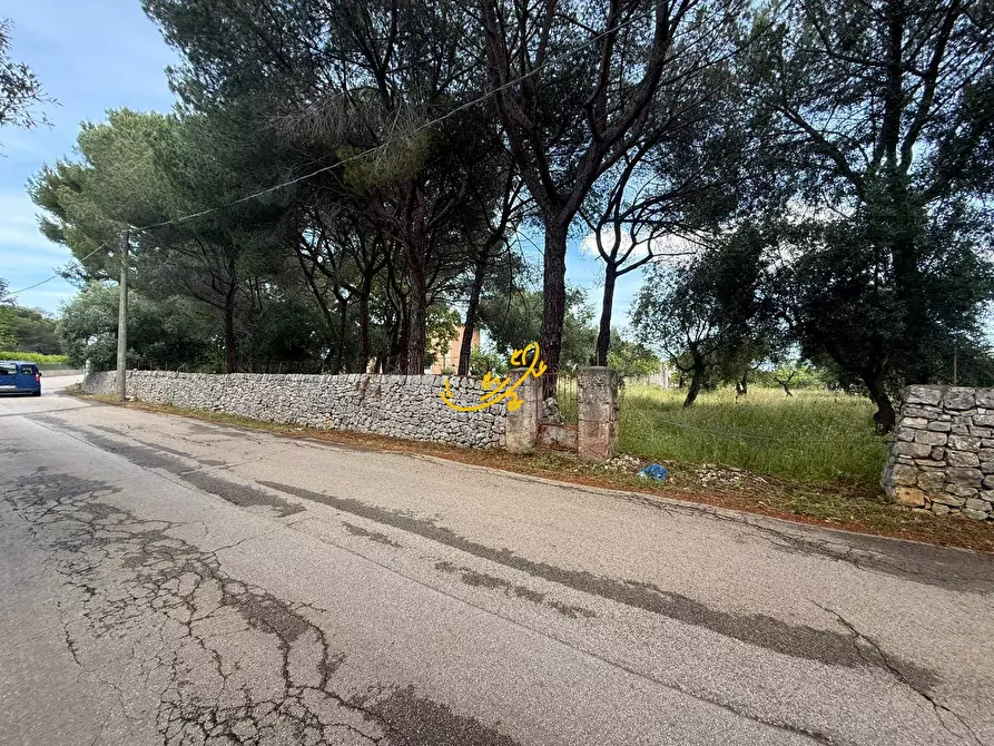 Immagine 15 di Rustico / casale in vendita  in Contrada Cozzana a Monopoli