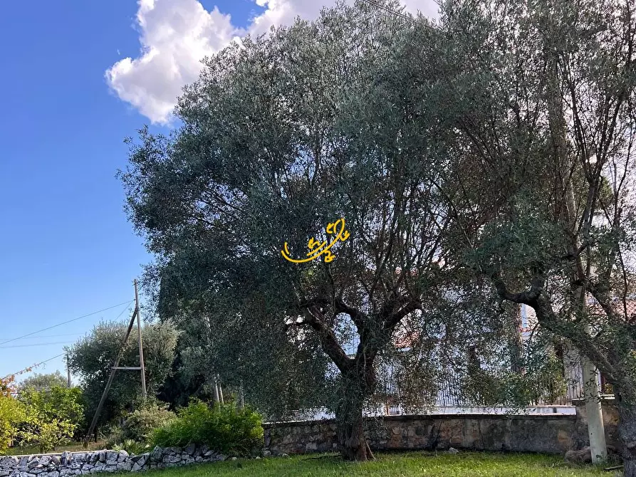 Immagine 20 di Rustico / casale in vendita  in Contrada Cozzana a Monopoli
