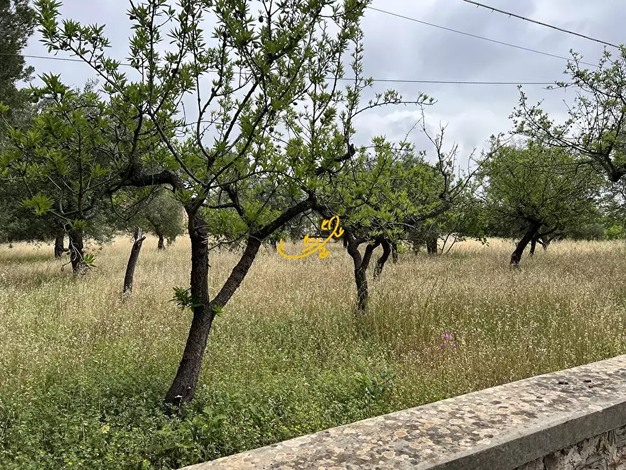 Immagine 37 di Rustico / casale in vendita  in Contrada Cozzana a Monopoli