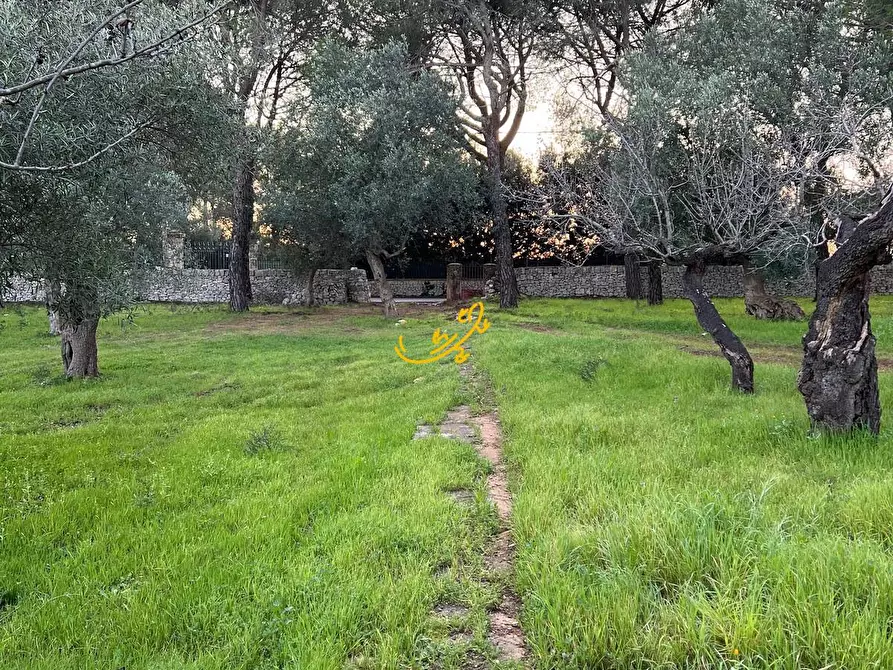 Immagine 5 di Rustico / casale in vendita  in Contrada Cozzana a Monopoli