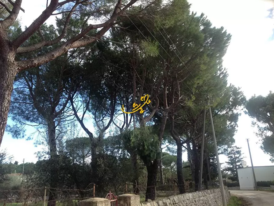 Immagine 17 di Rustico / casale in vendita  in Contrada Cozzana a Monopoli