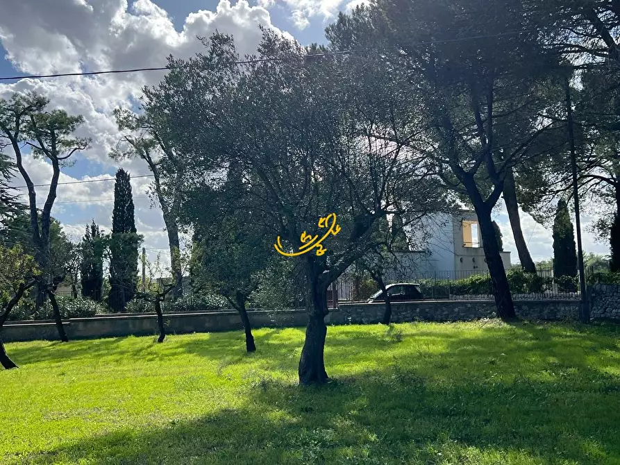 Immagine 6 di Rustico / casale in vendita  in Contrada Cozzana a Monopoli