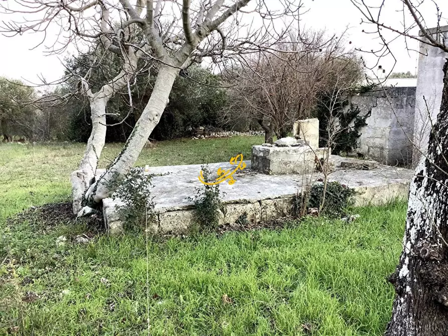 Immagine 13 di Rustico / casale in vendita  in Contrada Cozzana a Monopoli