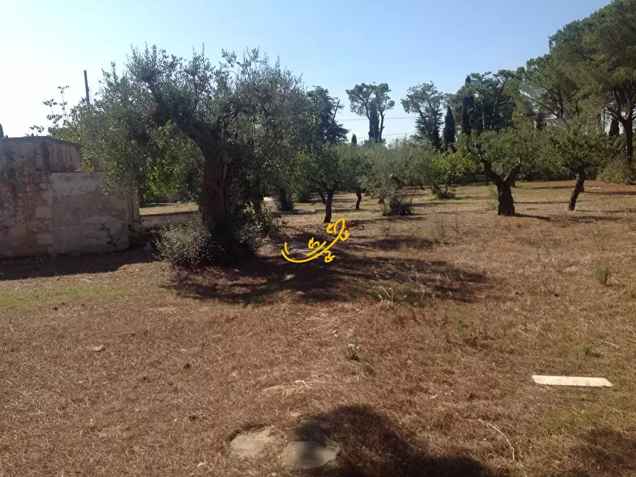 Immagine 21 di Rustico / casale in vendita  in Contrada Cozzana a Monopoli