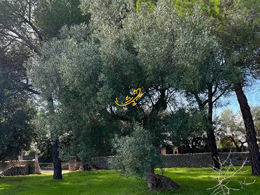 Immagine 19 di Rustico / casale in vendita  in Contrada Cozzana a Monopoli