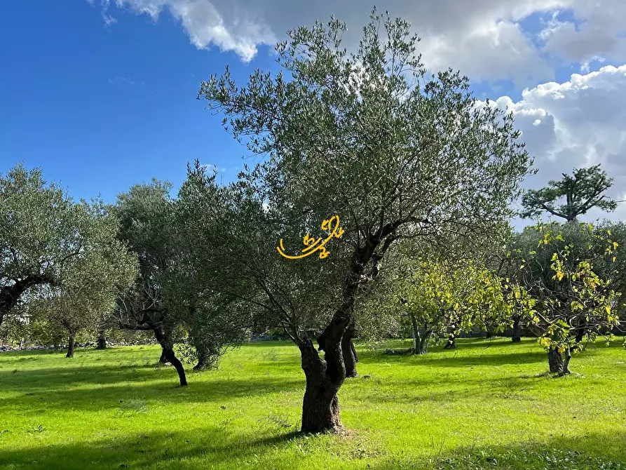 Immagine 7 di Rustico / casale in vendita  in Contrada Cozzana a Monopoli