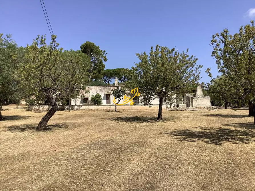 Immagine 3 di Rustico / casale in vendita  in Contrada Cozzana a Monopoli