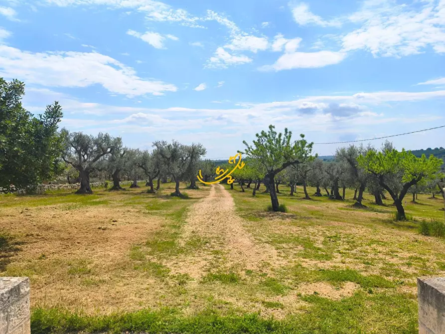 Immagine 4 di Baita in vendita  in Contrada Zingarello a Monopoli