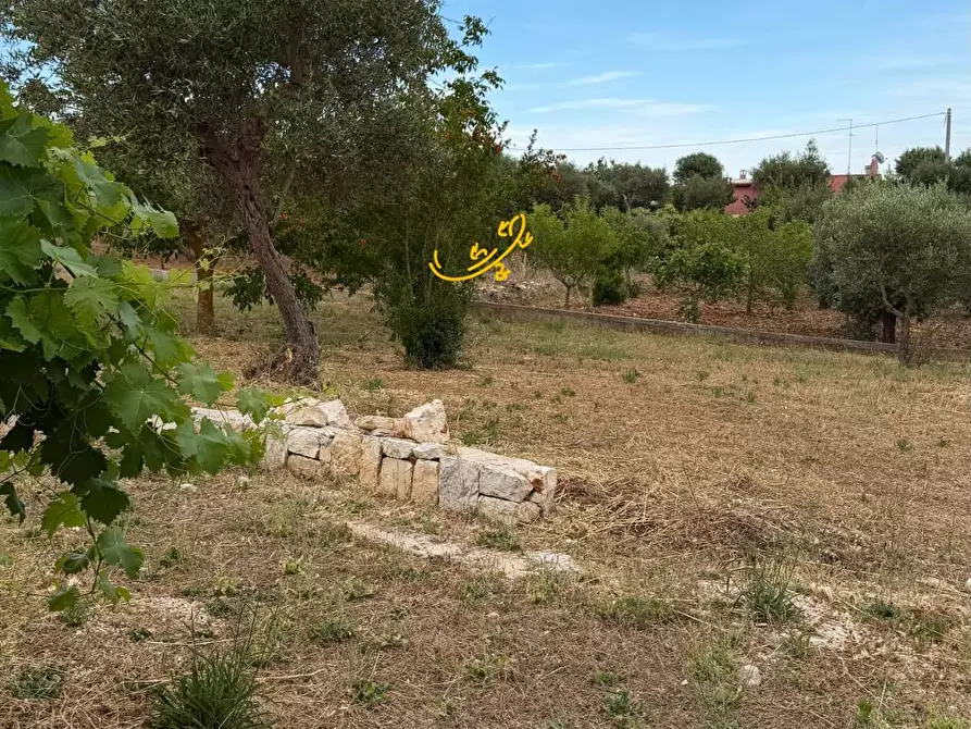 Immagine 25 di Baita in vendita  in S.C. Centrone Piccolo a Castellana Grotte