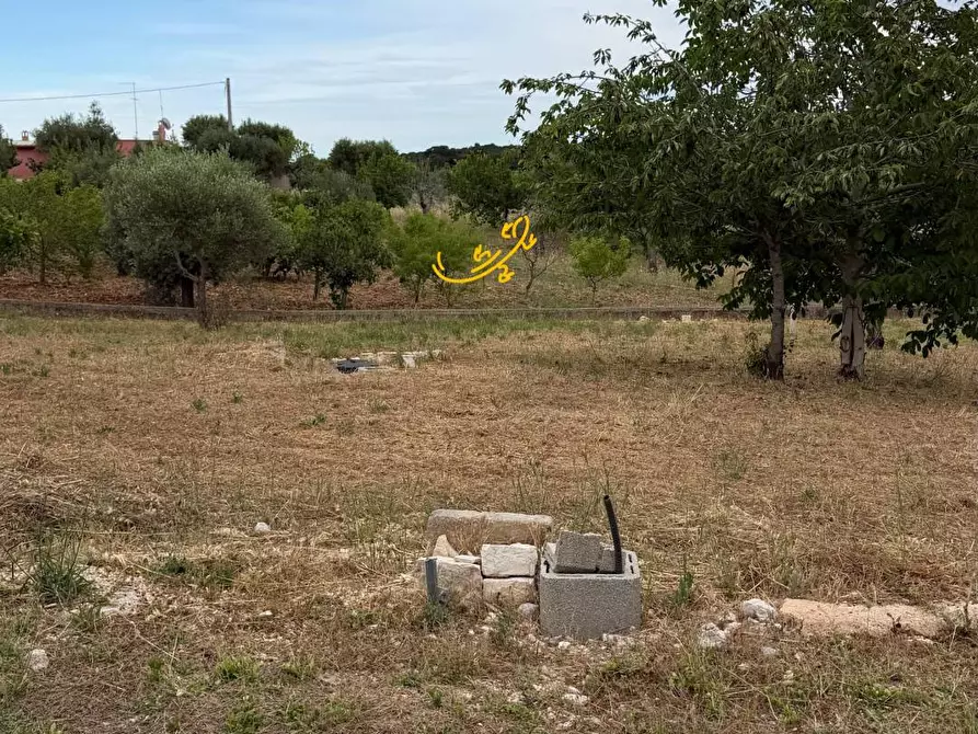 Immagine 29 di Baita in vendita  in S.C. Centrone Piccolo a Castellana Grotte