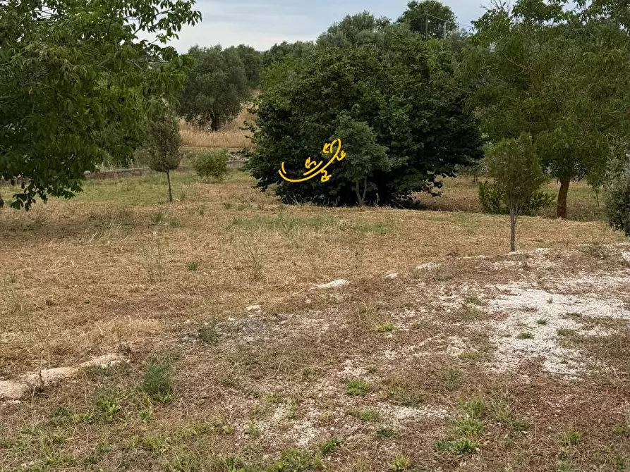 Immagine 26 di Baita in vendita  in S.C. Centrone Piccolo a Castellana Grotte