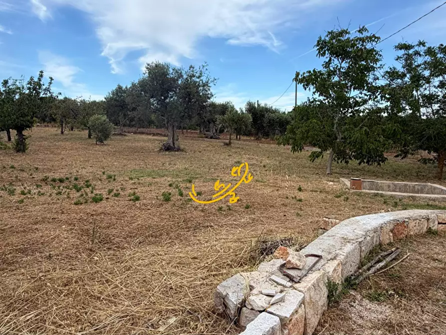 Immagine 27 di Baita in vendita  in S.C. Centrone Piccolo a Castellana Grotte