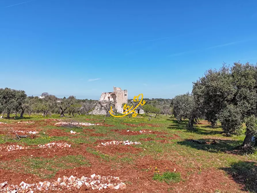 Immagine 12 di Rustico / casale in vendita  in Contrada Balice a Monopoli