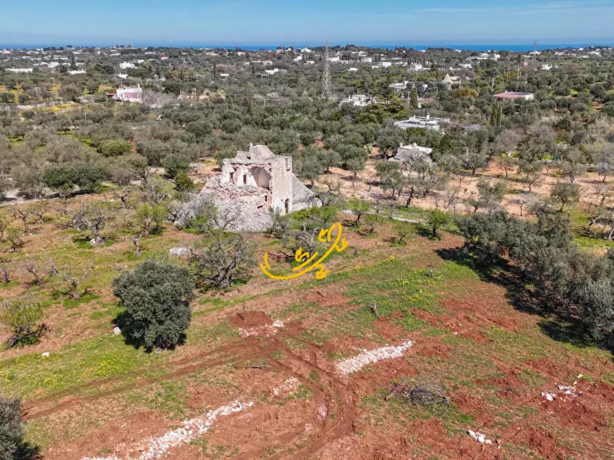 Immagine 15 di Rustico / casale in vendita  in Contrada Balice a Monopoli