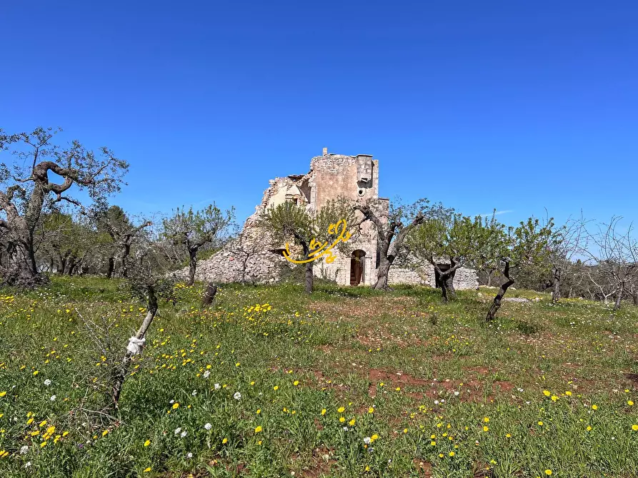 Immagine 18 di Rustico / casale in vendita  in Contrada Balice a Monopoli