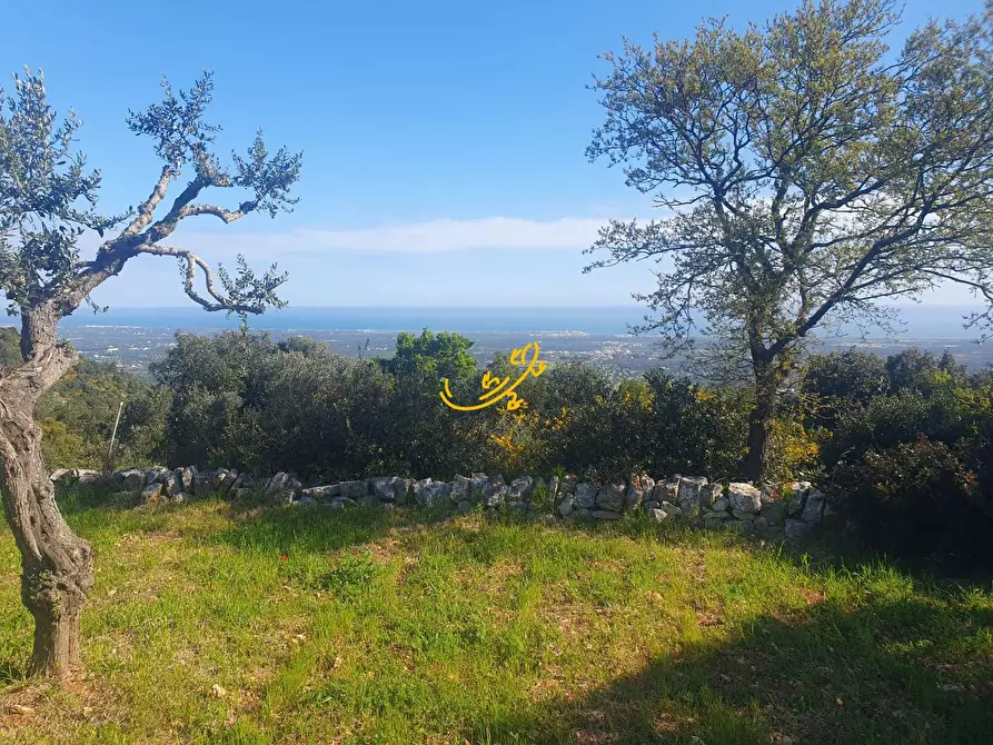 Immagine 1 di Baita in vendita  in Contrada Caranna a Cisternino