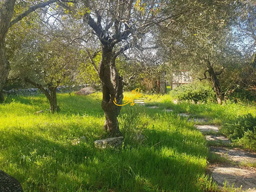 Immagine 9 di Baita in vendita  in Contrada Caranna a Cisternino