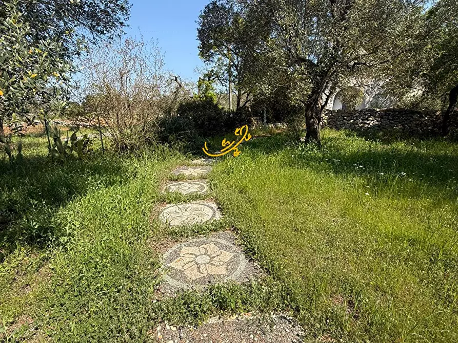 Immagine 27 di Baita in vendita  in Contrada Caranna a Cisternino
