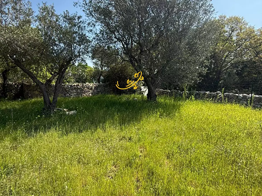 Immagine 28 di Baita in vendita  in Contrada Caranna a Cisternino