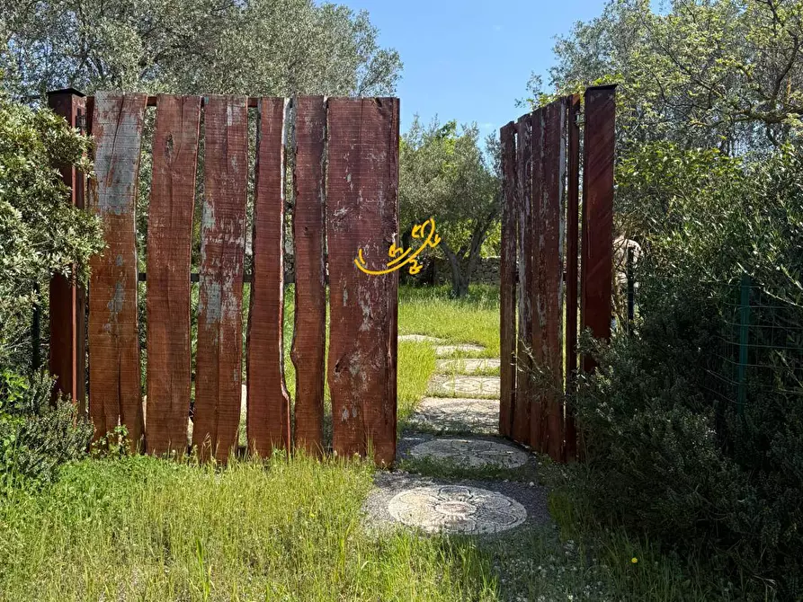 Immagine 29 di Baita in vendita  in Contrada Caranna a Cisternino