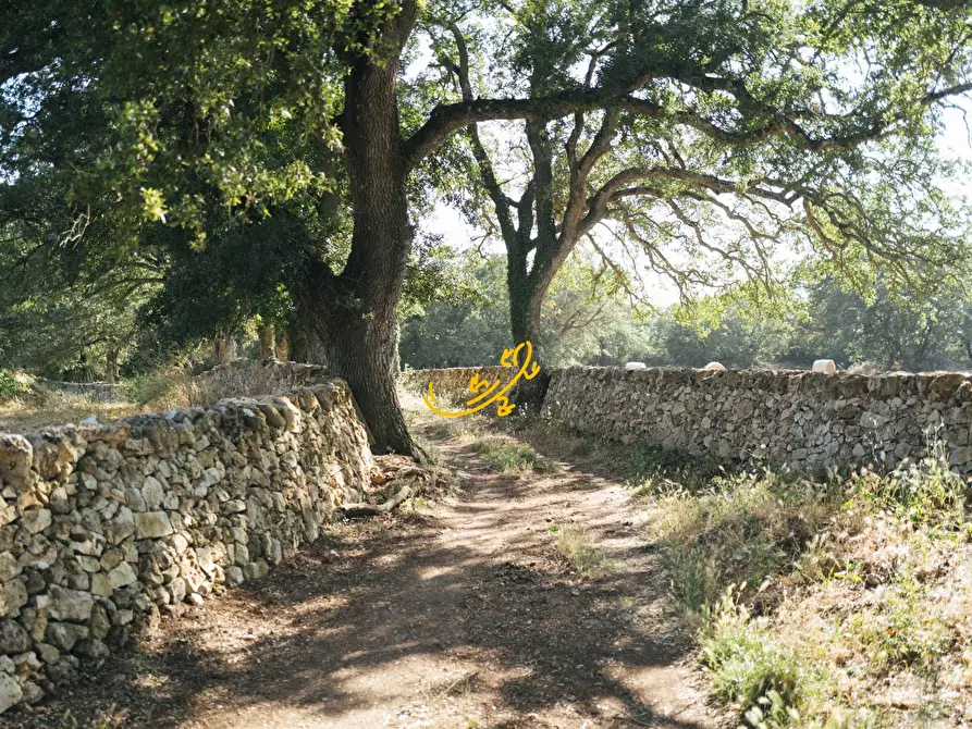 Immagine 14 di Baita in vendita  in Strada Mangiatello a Martina Franca