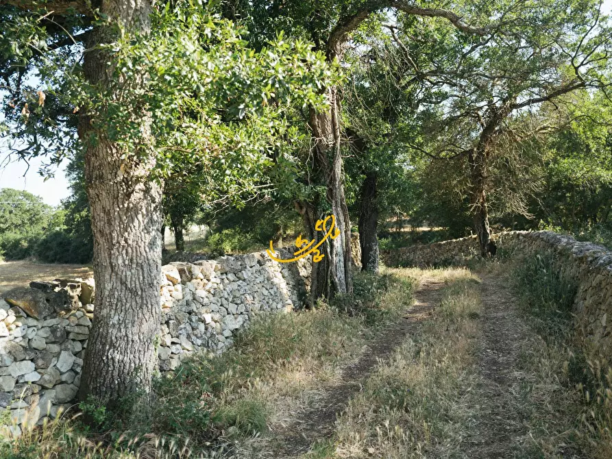 Immagine 15 di Baita in vendita  in Strada Mangiatello a Martina Franca