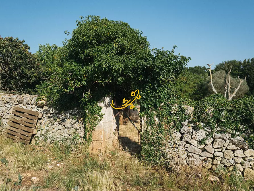 Immagine 16 di Baita in vendita  in Strada Mangiatello a Martina Franca