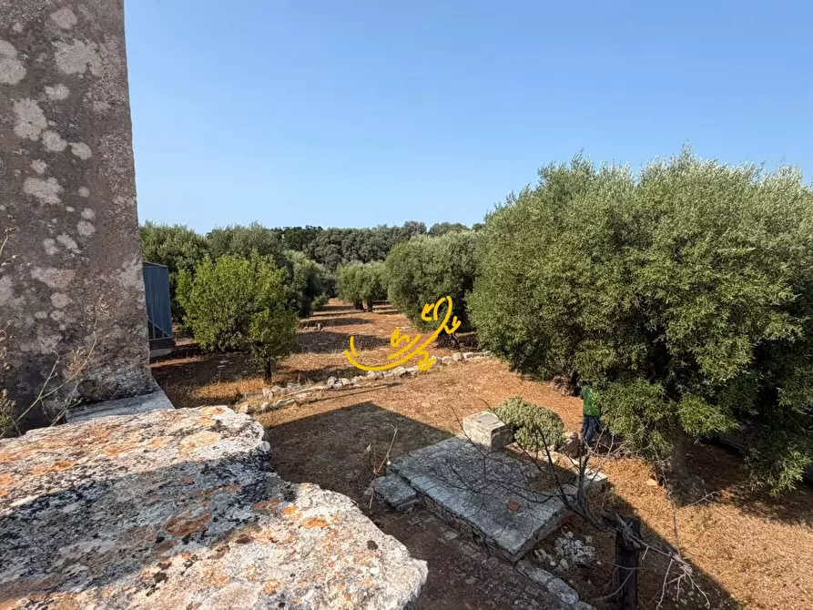 Immagine 28 di Rustico / casale in vendita  in Contrada Chiancafredda a Castellana Grotte