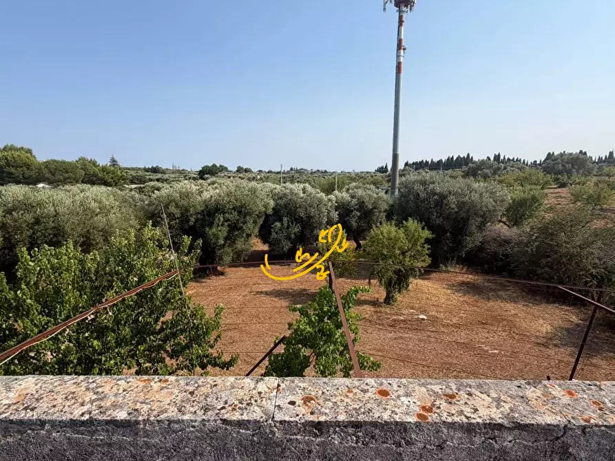 Immagine 26 di Rustico / casale in vendita  in Contrada Chiancafredda a Castellana Grotte