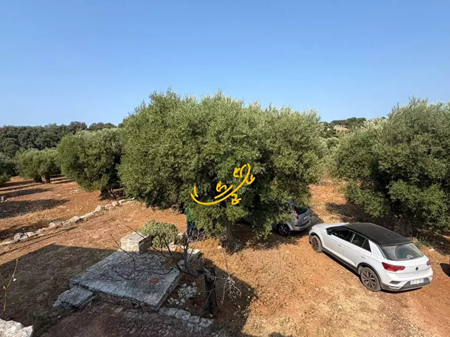 Immagine 7 di Rustico / casale in vendita  in Contrada Chiancafredda a Castellana Grotte