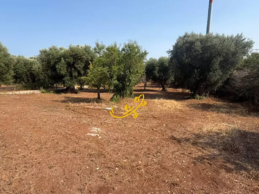Immagine 8 di Rustico / casale in vendita  in Contrada Chiancafredda a Castellana Grotte