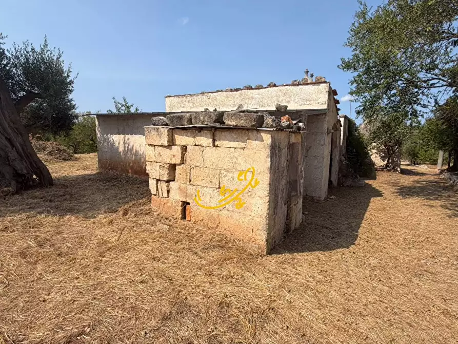 Immagine 5 di Baita in vendita  in Contrada Centrone Piccolo a Castellana Grotte