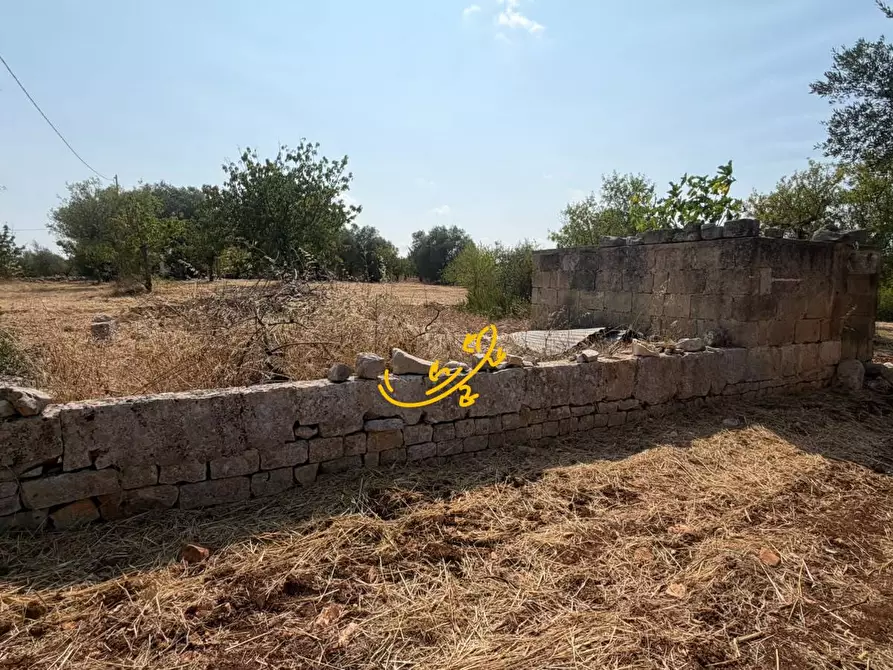 Immagine 6 di Baita in vendita  in Contrada Centrone Piccolo a Castellana Grotte