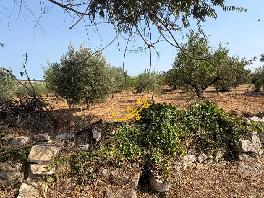 Immagine 8 di Baita in vendita  in Contrada Centrone Piccolo a Castellana Grotte