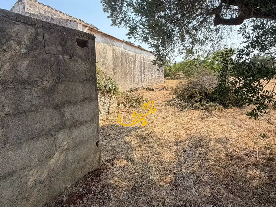 Immagine 9 di Baita in vendita  in Contrada Centrone Piccolo a Castellana Grotte