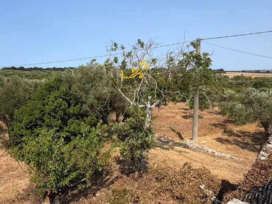 Immagine 18 di Baita in vendita  in Contrada Centrone Piccolo a Castellana Grotte